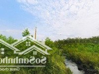 Diện Tích 25400M2 Đất Tại Hoà Bình, Xuyên Mộc Brvt. Chỉ 300 Triệu/1000M2 Đất Giáp Đường Nhựa Oto Vào Dc