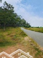 Diện Tích 25400M2 Đất Tại Hoà Bình, Xuyên Mộc Brvt. Chỉ 300 Triệu/1000M2 Đất Giáp Đường Nhựa Oto Vào Dc