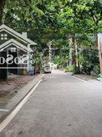 Đất - Xây Văn Phòng & Biệt Thự, Phố Đỗ Nhuận, 145M2, Mặt Tiền 8M, Công Viên Hoà Bình 38.5 Tỷ