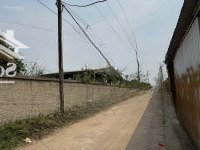 Cho Thuê Kho Xưởng Tại Thường Tín, Hà Nội - Diện Tích 1000M, Giá 30 Nghìn/M2/Tháng