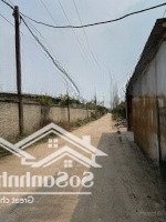 Cho Thuê Kho Xưởng Tại Thường Tín, Hà Nội - Diện Tích 1000M, Giá 30 Nghìn/M2/Tháng