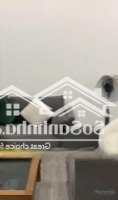 Bán Nhà 1 Trệt 2 Lầu 4 Pn Toilet Tặng Full Nội Thất