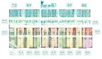(Đức Duy Land) Chuyển Nhượng Hàng Đầu Tại Green Park, Tổng Hợp Quỹ Căn Hộ 2 - 3 - Pn Giá Tốt Nhất