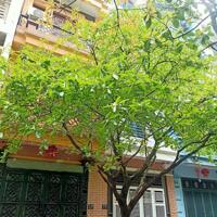 Bán nhà phân lô LK Mỹ Đình 60m2 5 tầng thang máy giá chỉ nhỉnh 18 tỷ