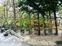 Tổng Hợp Kho Mặt Bằng Kinh Doanh, Nhà Phố Cho Thuê 15- 30 Triệu Quận Cầu Giấy 04/2025