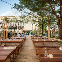 Cho Thuê Mặt Bằng Mặt Tiền: Nguyễn Văn Lượng, Phường 10, Quận Gò Vấp, Tphcm 42 X 100M