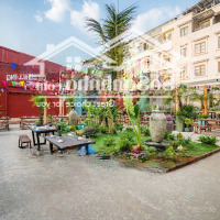 Cho Thuê Mặt Bằng Mặt Tiền: Nguyễn Văn Lượng, Phường 10, Quận Gò Vấp, Tphcm 42 X 100M