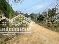 Đất Chính Chủ Lương Sơn - Hoà Bình, Diện Tích 317.9M2 Có 160M2 Thổ Cư, Gần Các Homestay Nghỉ Dưỡng