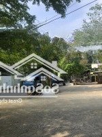 Bán Dãy Trọ 14 Phong Đang Có Nguồn Thu