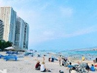 Bán Lô Đất Đẹp Gần Biển Mặt Tiền Đường Bắc Sơn 197,14M2 Chỉ 97 Triệu/M. Vĩnh Hải Nha Trang