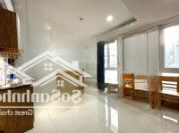 Căn Hộ Studio Thang Máy Quận 1 Gần Vòng Xoay Cống Quỳnh, Chợ Thái Bình