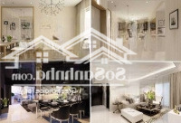 Quản Lý Tất Cả Các Căn Hộ Cho Thuê Dự Án Sunrise City, City View Giá Cập Nhật Tháng 3/2025