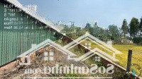 Ngân Hàng Vib Phát Mãi Lô Đất Nở Hậu Hẻm Ô Tô Kdc Hiện Hữu Giá Rẻ
