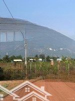 Bán Gấp 1000M2 Chỉ 680 Triệu View Núi Bà Tại Suối Đá, Dương Minh Châu, Sẵn Sổ Hồng, Cc Ngay