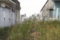Bán Đất Trung Tâm Ninh Cường, Trực Ninh, Nam Định, 1,35 Tỷ, 90M2, Hot!