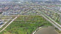 Rẻ Nhất Trong Phân Khu Tđc Khu Đô Thị Bắc Sông Cấm, Thủy Nguyên, Hải Phòng. Diện Tích 60M2