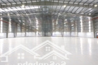 Cho Thuê Kho Xưởng Mới 4000M2, Pháp Lý Chuẩn, Giá Tốt Tại Kcn Đức Hòa, Long An.