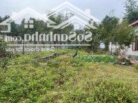 Đất Thổ Cư Siêu Đẹp Tại Túc Duyên, Thái Nguyên, Thích Hợp Cho Mọi Nhu Cầu Phát Triển