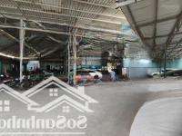 Đất 8083M2 Tại Đường 50, Bình Trưng Đông, Quận 2, Hồ Chí Minh, Giá Ưu Đãi 300 Nh, Giá Ưu Đãi 300 Tỷ