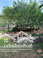 Bán Nhà Vườn Nghỉ Dưỡng Tại Phường 12, Tpvt