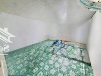 Giảm 500 Triệu. Bán Nhà 55M2, 2 Tầng, Dương Bá Trạc, Giáp Nguyễn Văn Cừ, Phường 1, Quận 8