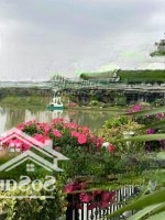 Bán Đơn Hoa Sữa 8-21, 424M2, Đông Nam, Mặt Tiền 15M, View Vườn Hoa, Ngã Ba Sông Rộng. Giá Bán 107 Tỷ