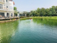 Bán Đơn Hoa Sữa 8-21, 424M2, Đông Nam, Mặt Tiền 15M, View Vườn Hoa, Ngã Ba Sông Rộng. Giá Bán 107 Tỷ