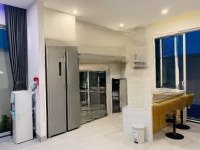 Biệt Thự Nam Hòa Xuân 4 Phòng Ngủcó Sân Vườn, Có Hồ Bơi, Full Nội Thất Đẹp