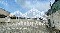 Cho Thuê Kho, Nhà Xưởng 3000M2, 200 Triệu Tại Lũy Bán Bích, Phú Thạnh, Tân Phú, Hcm