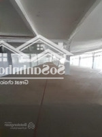 Cho Thuê Kho, Nhà Xưởng, Đất Tại Phường Tân Thới Nhất, Quận 12, Hồ Chí Minh, 800 Triệu, 10,000M2