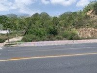Chủ Ủy Quyền Em Hoàn Bán Lô Mặt Tiền Tl3 Giá Rẻ Chỉ Hơn 5 Triệu/M2 Liên Hệ 0828196368 Hoàn