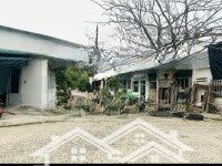 Bán Đất Tặng Nhà Cấp 4 Khu Tđc Sông Tắc, Vĩnh Thái 150M2 Giá Chỉ 3,8 Tỷ