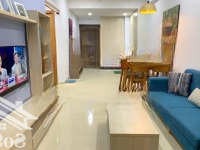 Cho Thuê Cc Tại The Botanica 15 Triệu 58M2 1 Phòng Ngủ 1 Vệ Sinhcăn Góc, Nội Thất Đầy Đủ, Dự Án Novaland Gần Sân Bay