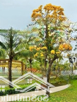 Cần Bán Gấp Biệt Thự Đơn Lập Xây Thô 400M2 View Sông Dự Án Vinhomes Imperia