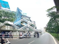 Bán Nhà Mặt Phố Hoàng Cầu, 250M2, 9 Tầng, Mặt Tiền 10M , Thuê 250 Tr/ Th, Đống Đa, Hà Nội