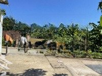 Chính Chủ Bán Lô Đất 2 Mặt Tiền Tại Tân Xã, Thạch Thất, 60,9M², Giá Rẻ, Tiềm Năng Tăng Giá Cao.