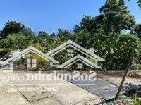 Chính Chủ Bán Lô Đất 2 Mặt Tiền Tại Tân Xã, Thạch Thất, 60,9M², Giá Rẻ, Tiềm Năng Tăng Giá Cao.