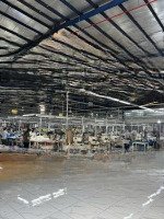 Bán Nhà Xưởng May 1.450M2 Tô Ngọc Vân, Thạnh Xuân Quận 12. Xưởng May Có Pccc. Thổ Cư Hơn 1150M2