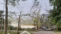 Biệt Thự Gia Lâm- 2 Thoáng View Sông- Nơi An Sinh Lý Tưởng.