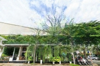 Chính Chủ Cần Tiền Bán Tòa Nhà 4 Tầng Hưng Gia 5, Phú Mỹ Hưng Thiết Kế Hiện Đạidiện Tích195M2 Giá Bán 85 Tỷ
