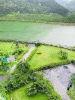 Siêu Phẩm Biệt Thự View Hồ Đẹp Nhất, Rừng Thông 50 Năm, Nghỉ Dưỡng Đẳng Cấp Cho Chủ Nhân Tinh Hoa
