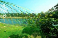 Chỉ Vài Triệu /1M Lô Đất Góc 4477M2 Tại Ngọc Thanh, Phúc Yên, Vĩnh Phúc. Cạnh Bên Flamigo Đại Lải