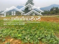 Bán Đất 841M2 Tại Yên Bài, Ba Vì, Hà Nội, 5,5 Tỷ, Mặt Tiền 23.27M, Pháp Lý Đầy Đủ