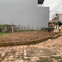  CƠ HỘI VÀNG – BÁN LÔ GÓC TUYỆT ĐẸP 97,9M² KHU ĐẤT ĐẤU GIÁ X1, XÃ NGUYÊN KHÊ, ĐÔNG ANH, HÀ NỘI 