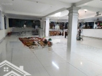 Bán 5000M2 Tam Dương, Tặng Biệt Thự Nghỉ Dưỡng 3 Tầng, 5 Phòng Ngủlô Góc, Vườn Cây Ăn Trái Đang Thu Hoạch