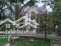 Bán 5000M2 Tam Dương, Tặng Biệt Thự Nghỉ Dưỡng 3 Tầng, 5 Phòng Ngủlô Góc, Vườn Cây Ăn Trái Đang Thu Hoạch