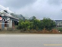 Bán Đất Chính Chủ Mặt Đường Ql 47 - Cạnh Sân Bay Thọ Xuân