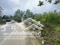 Bán Đất Chính Chủ Mặt Đường Ql 47 - Cạnh Sân Bay Thọ Xuân
