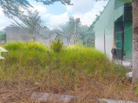 Quá Rẻ! Đất 102M2 Sổ Riêng, Thổ Cư, Đường Nhựa Ô Tô 6M Tại Chợ Phú Khương, Bến Tre Giá Bán 450 Triệu