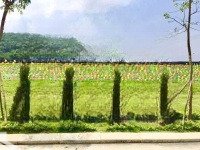 Bán Gấp Biệt Thự Nghỉ Dưỡng Ven Đô Giá Rẻ Nhất Khu Tại Lương Sơn Hoà Bình